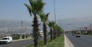 Büyükşehir’den yeşil alan bakım çalışmaları