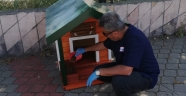 Büyükşehir sokak hayvanlarını unutmadı