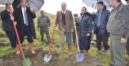 ÇANAKKALE ŞEHİTLERİ ANISINA 500 FİDAN