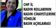 CHP İL KADIN KOLLARININ KADIN CİNAYETLERİNE YÖNELİK BASIN AÇIKLAMASI