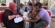 Çöplükte ölüme terk edilen sıpa biberonla besleniyor