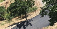 DEDELER YOLU DA ASFALTLANDI