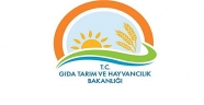 DOLANDIRICILARA DİKKAT