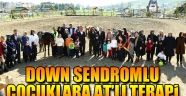 Down sendromlu çocuklara atlı terapi