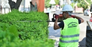 DULKADİROĞLU’NDA PARK VE BAHÇE BAKIMLARI YAPILIYOR