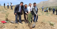 Ekinözü’nde Abdurrahim Karakoç Anısına Hatıra Ormanı