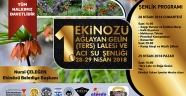 EKİNÖZÜ’NDE TERS LALE VE İÇMELER ŞENLİĞİ BAŞLIYOR