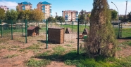 Elbistan Belediyesi, ‘kedi parkı’ projesini hayata geçirdi