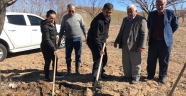 ELBİSTAN’DA KAYSI AĞAÇLARINA GİDYA UYGULAMASI