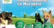 ELBİSTAN’DA KUDUZ MÜCADELESİNDE HAVADAN AŞILAMA PROJESİ