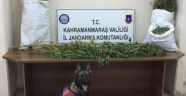 esrar imal etmek maksadıyla yasadışı kenevir ekimi yaptığı