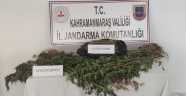 Evinin bahçesinde uyuşturucu yetiştirdi
