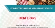 FERMENTE BESİNLER NE KADAR PROBİYOTİKLER