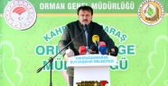 FİDANLAR FİDANLARLA BÜYÜYECEK