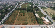 FISTIK PARKI’NDA ÇALIŞMALAR SÜRÜYOR
