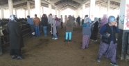 GENÇ ÇİFTÇİLER DESTEKLENİYOR…