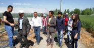 Gıda Tarım ve Hayvancılık Müdürlüğü Haberleri