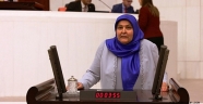 Habibe Öçal’dan Sözde Onur Yürüyüşüne Tepki