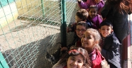 HAYVAN BARINAĞI’NIN MİNİK ZİYARETÇİLERİ