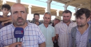 Hayvan Borsası Bölgeye Hitap Ediyor
