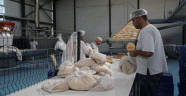 İHH, Suriye'de 10 ayda 125 milyon civarında ekmek dağıttı