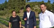 Kadın girişimci, devlet desteğiyle çilek bahçesi kurdu
