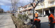 Kadirli Caddesi’nde Refüj Yenileme