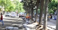 KAHRAMANMARAŞ BÜYÜKŞEHİR BELEDİYE HABERLERİ