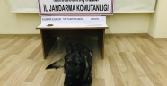Kahramanmaraş İl Jandarma Komutanlığı Yol Denetimi