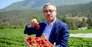 Kahramanmaraş’ın ciddi potansiyeli var