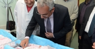 Kahramanmaraş’ın İlk Tüp Bebekleri: Asya ve Arya
