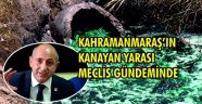 KAHRAMANMARAŞ’IN KANAYAN YARASI MECLİS GÜNDEMİNDE