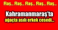 Kahramanmaraş’ta Ağaçta Asılı Erkek Cesedi