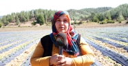 KAHRAMANMARAŞ’TA GENÇ ÇİFTÇİ PROJESİ İLE HAYALLER GERÇEK OLUYOR