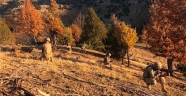 Kahramanmaraş’ta Şehit J. Er Selahattin Şener Operasyonu