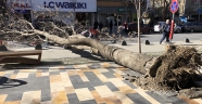 Kahramanmaraş ve Adıyaman'da şiddetli rüzgar etkili oluyor