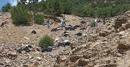 Kahramanmaraş'ın Onikişubat ilçesinde yıldırım isabet eden 45 koyun telef oldu.