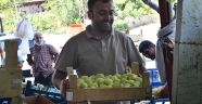 Kahramanmaraş'ın tescilli