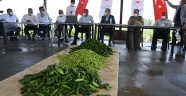Kahramanmaraşlı çiftçiler ürünlerini DİTAP üzerinden satıyor