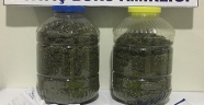 Kahramanmaraş'ta 1 kilo 812 gram esrar ele geçirildi