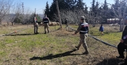 Kahramanmaraş'ta 19 koyun çalan hırsızları jandarma yakaladı
