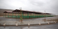 Kahramanmaraş'ta 4 ilçedeki hayvan pazarları tedbir amaçlı kapatıldı