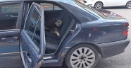 Kahramanmaraş'ta açık kapıdan otomobile giren köpeği belediye ekibi çıkardı