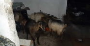 Kahramanmaraş'ta aşırı yağışlar sulama kanalının taşmasına neden oldu