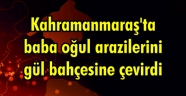 Kahramanmaraş'ta baba oğul arazilerini gül bahçesine çevirdi