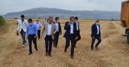 Kahramanmaraş'ta buğday hasadı başladı