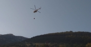 Kahramanmaraş'ta çıkan yangında 2 hektar ormanlık alan zarar gördü