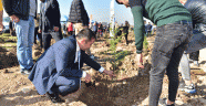 Kahramanmaraş'ta fidan dikim etkinliği