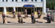 Kahramanmaraş'ta görev yapan 7 hassas burunlu köpek, jandarmanın en büyük yardımcısı