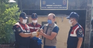 Kahramanmaraş'ta jandarmanın bulduğu yaralı atmaca koruma altına alındı
